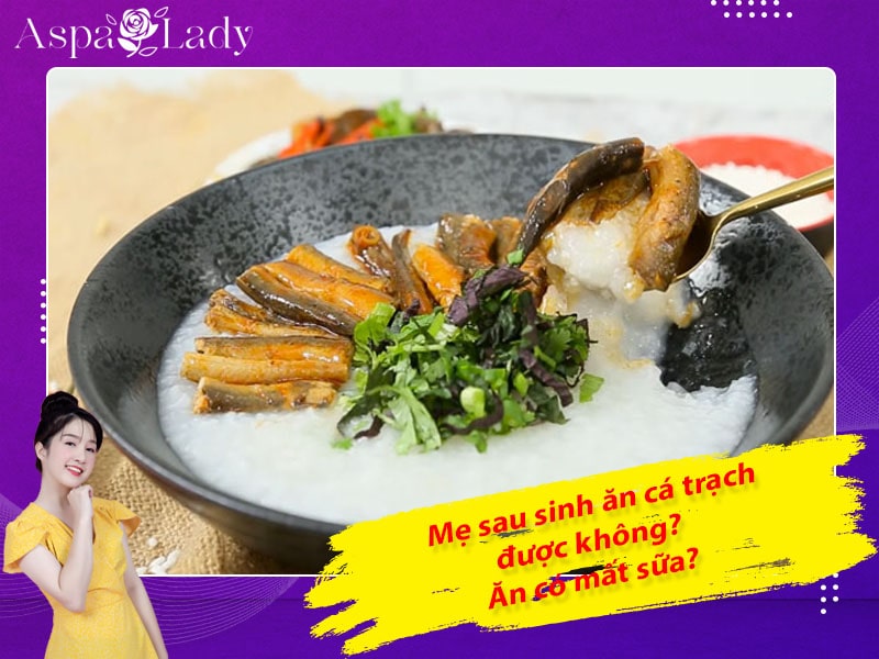 Mẹ sau sinh có ăn được cá chạch không? Ăn có mất sữa?