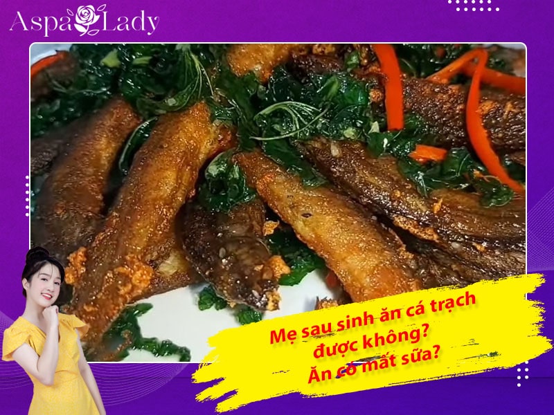 Mẹ sau sinh có ăn được cá chạch không? Ăn có mất sữa?