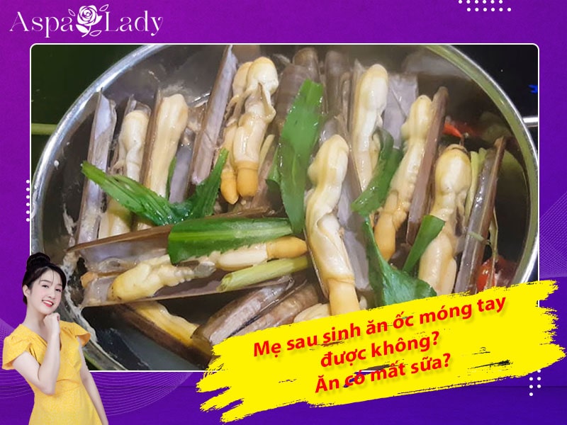 Mẹ sau sinh ăn ốc móng tay được không? Ăn có mất sữa không?