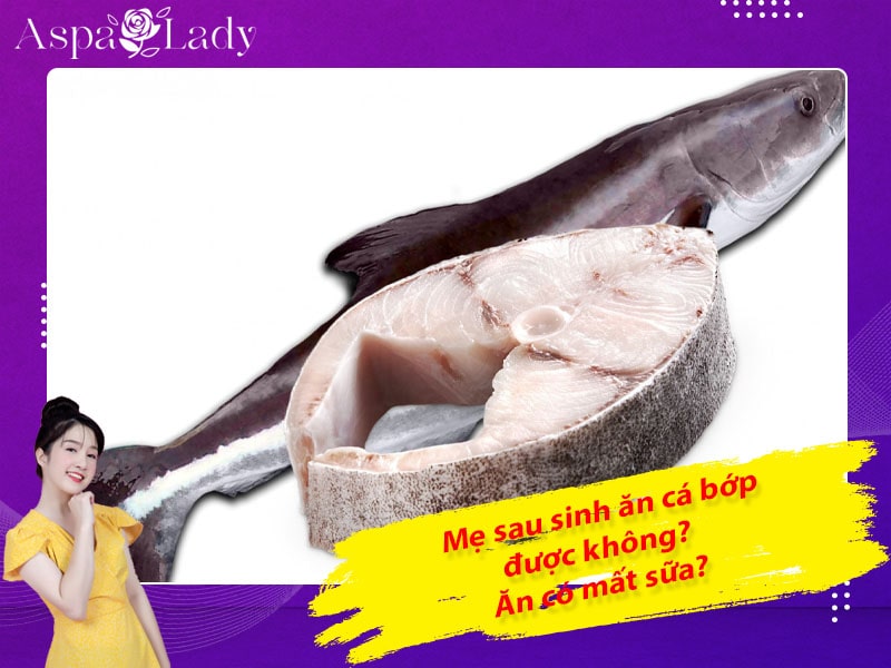 Mẹ sau sinh có ăn được cá bớp không? Ăn có mất sữa?