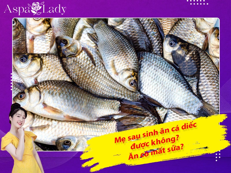 Mẹ sau sinh ăn cá diếc được không? Ăn có mất sữa không?