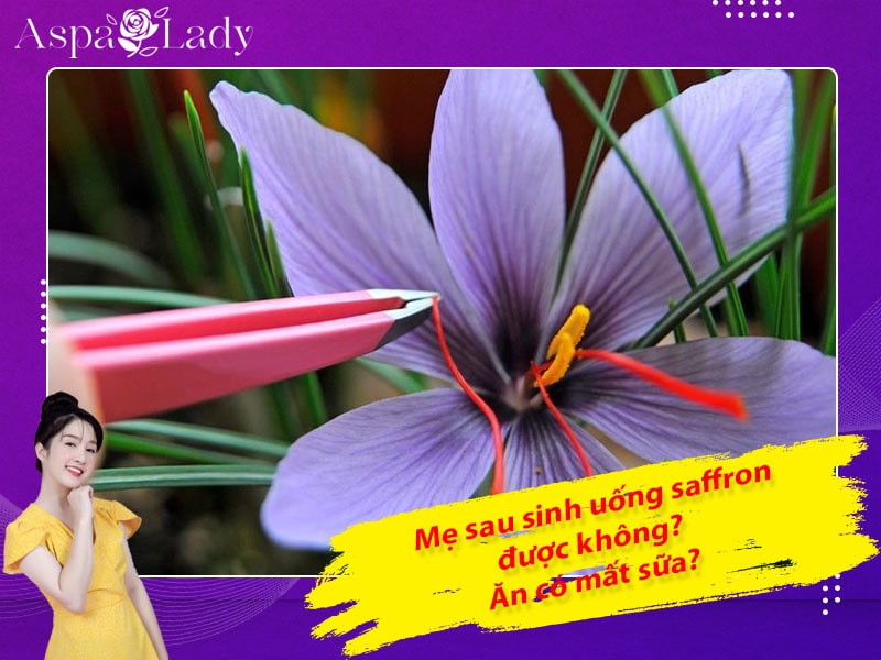 Mẹ sau sinh có uống được saffron không? Uống có mất sữa?