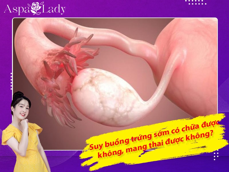 Suy buồng trứng sớm có chữa được không, mang thai được không?