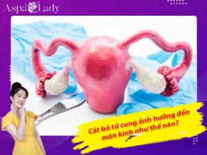 Cắt bỏ tử cung ảnh hưởng đến mãn kinh như thế nào?