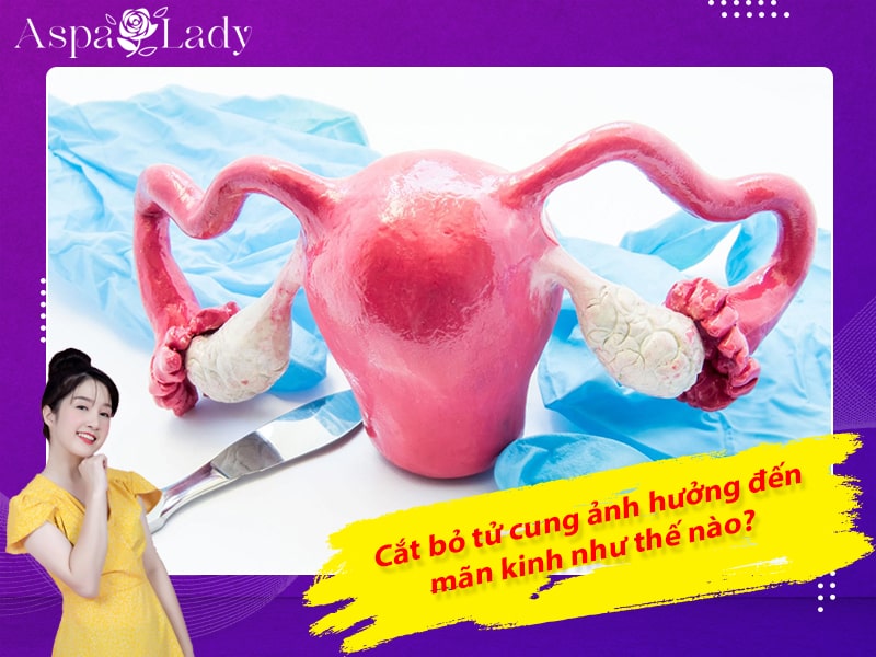 Cắt bỏ tử cung ảnh hưởng đến mãn kinh như thế nào?