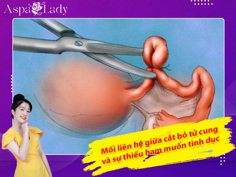 Mối liên hệ giữa cắt bỏ tử cung và sự thiếu ham muốn tình dục