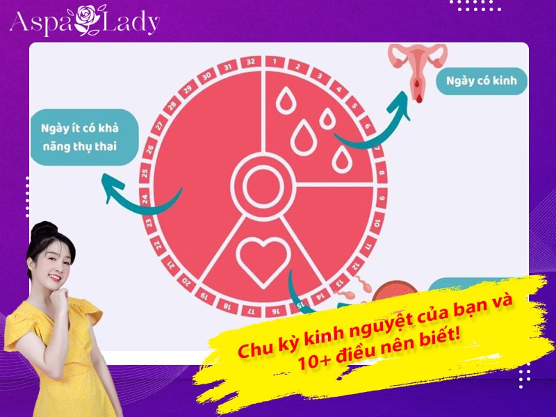 Chu kỳ kinh nguyệt của bạn và 10+ điều nên biết!