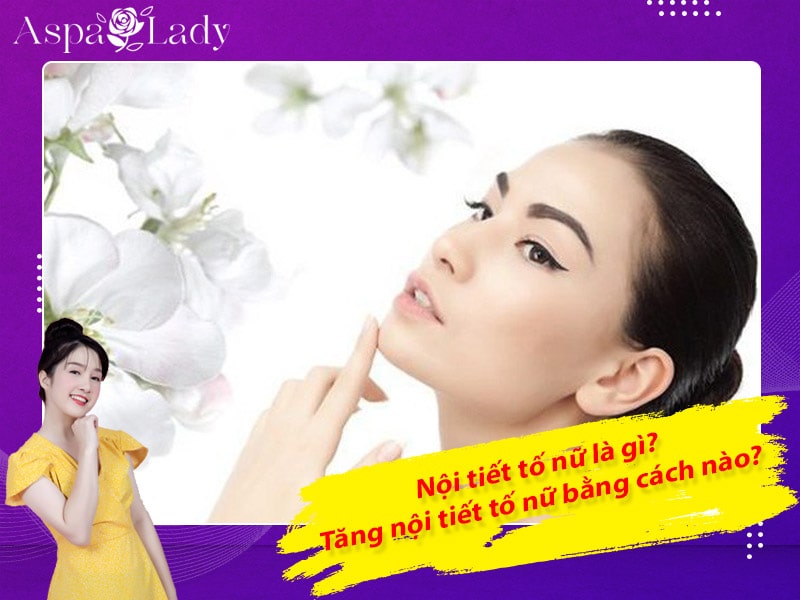 Nội tiết tố nữ là gì? Tăng nội tiết tố nữ bằng cách nào?