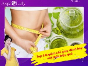 Top 8 lá giảm cân giúp đánh bay mỡ thừa hiệu quả
