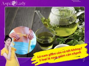 Lá nam giảm cân có tốt không? 5 loại lá nam giảm cân nhanh