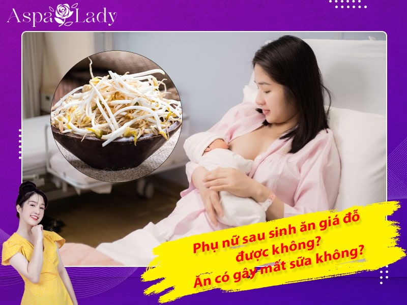 Phụ nữ sau sinh ăn giá đỗ được không? Ăn có gây mất sữa không?