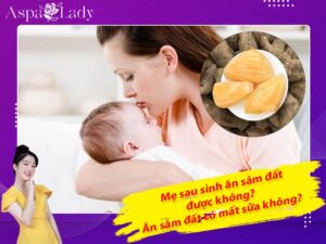 Mẹ sau sinh ăn sâm đất được không? Ăn có mất sữa không?