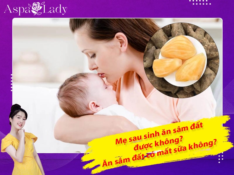 Mẹ sau sinh ăn sâm đất được không? Ăn có mất sữa không?
