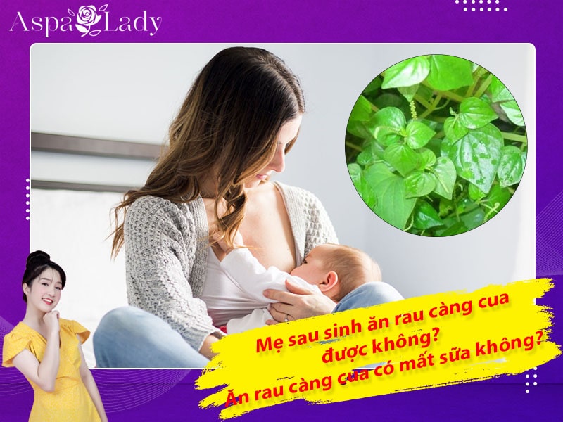 Mẹ sau sinh ăn rau càng cua được không? Ăn có mất sữa không?