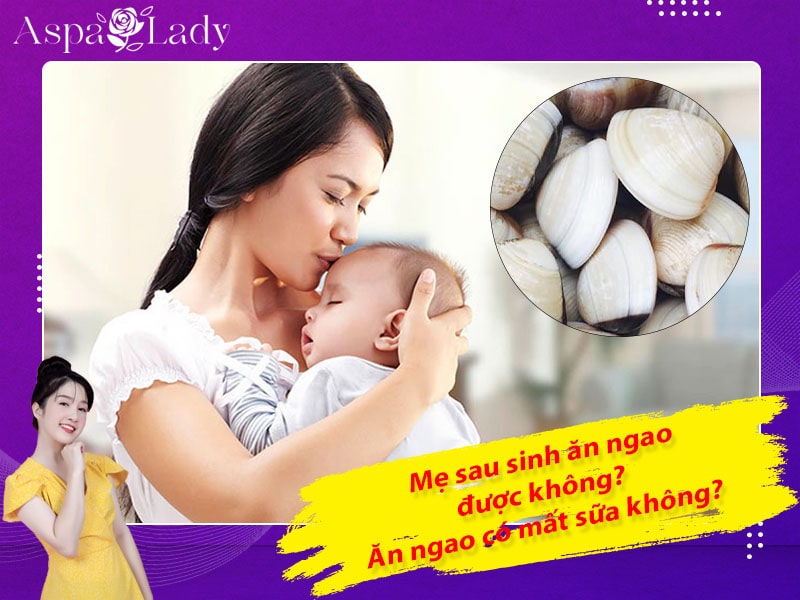 Mẹ sau sinh ăn ngao được không? Uống có mất sữa không?