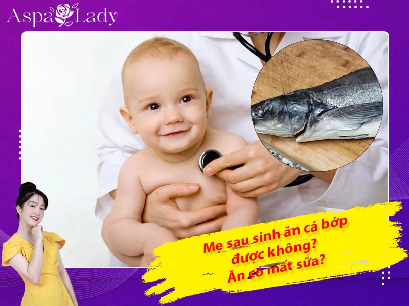 Mẹ sau sinh có ăn được cá bớp không? Ăn có mất sữa?
